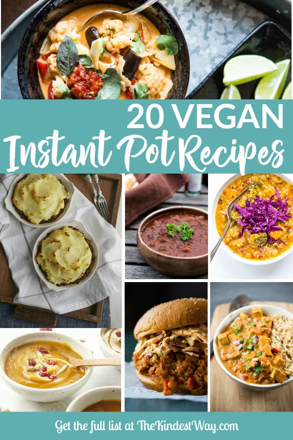 20 Easy Vegan Instant Pot Recipes to Try Today! | The Kindest Way