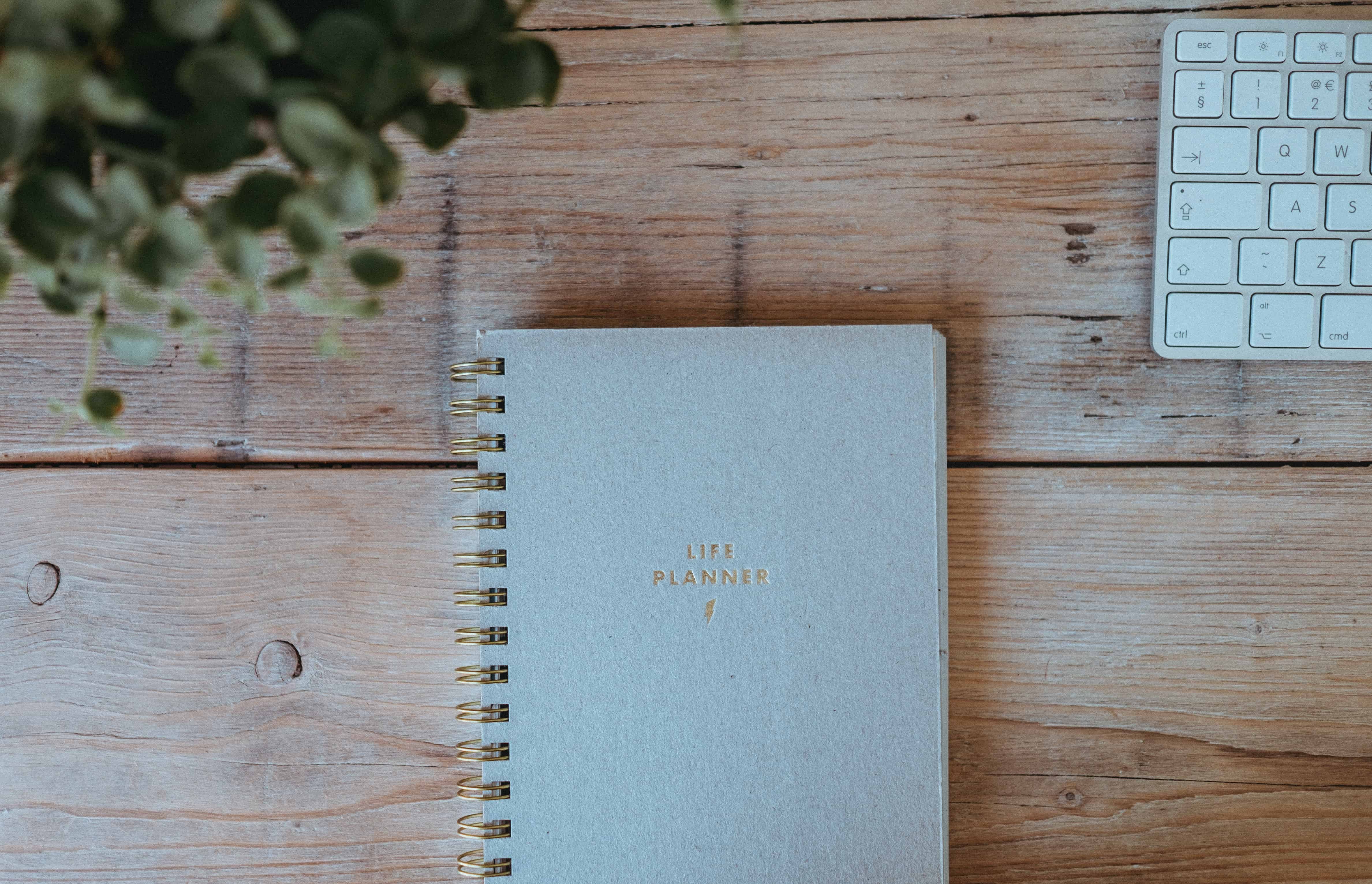 10 of the Best Bullet Journal Notebooks The Kindest Way
