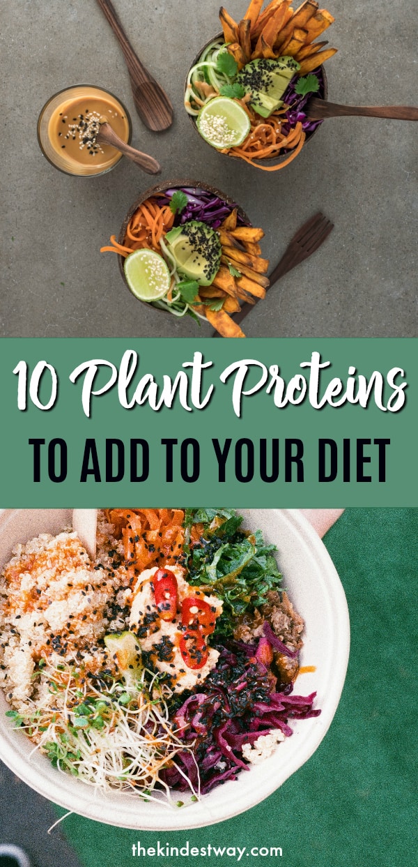 Ten Plant Proteins to Add to Your Diet - Vegan Protein Sources