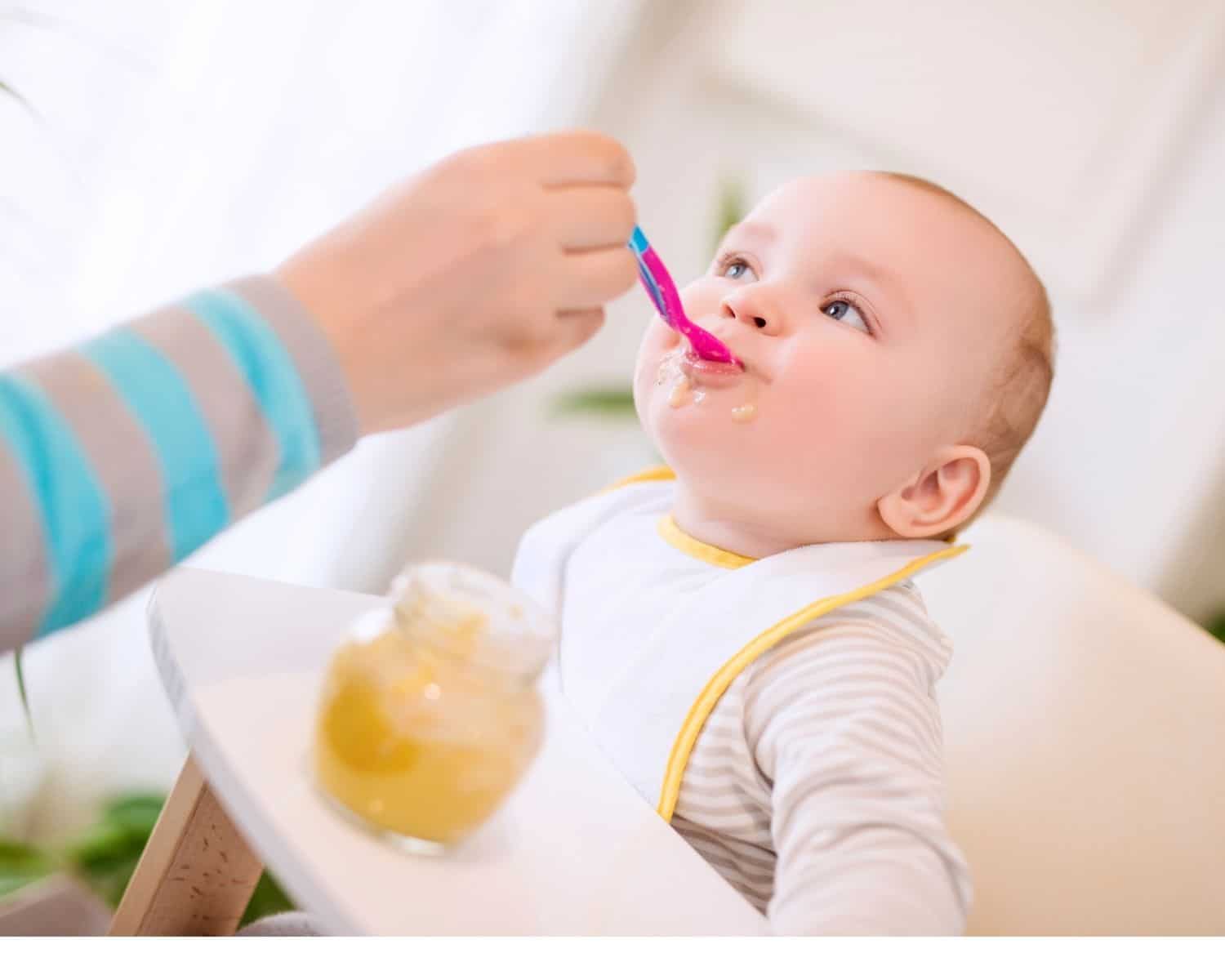 5 Tasty and Healthy Organic Baby Foods! The Kindest Way